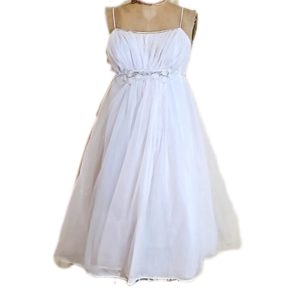 Way Tooo Much Fan Under This Damn Thing -Van Raalte filmy,chemise dress